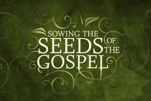 HEALTHY CHURCH: What's a Church to Do?