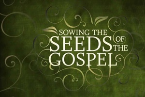 HEALTHY CHURCH: What's a Church to Do?