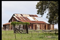 My Father's Business