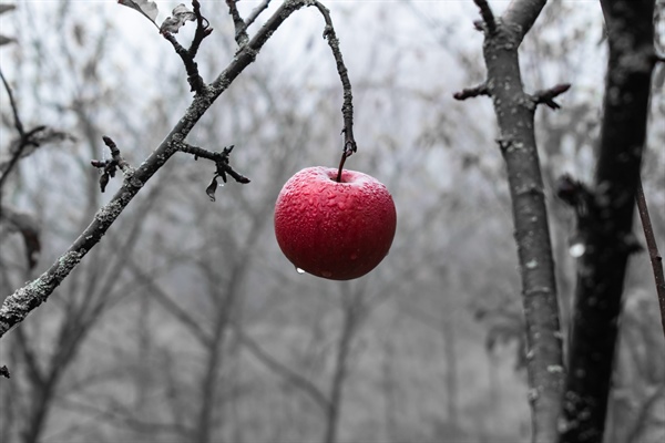 STATE MISSIONS: Responding to Temptation (1 of 2)