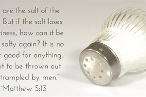 STATE MISSIONS: Has Our Salt Lost Its Saltiness? (part 2)