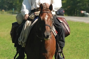 STATE MISSIONS: Circuit Riding Preacher