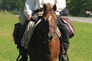 STATE MISSIONS: Circuit Riding Preacher