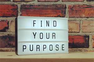 STATE MISSIONS: What Does Purpose Mean?