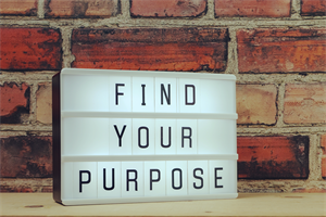 STATE MISSIONS: What Does Purpose Mean?